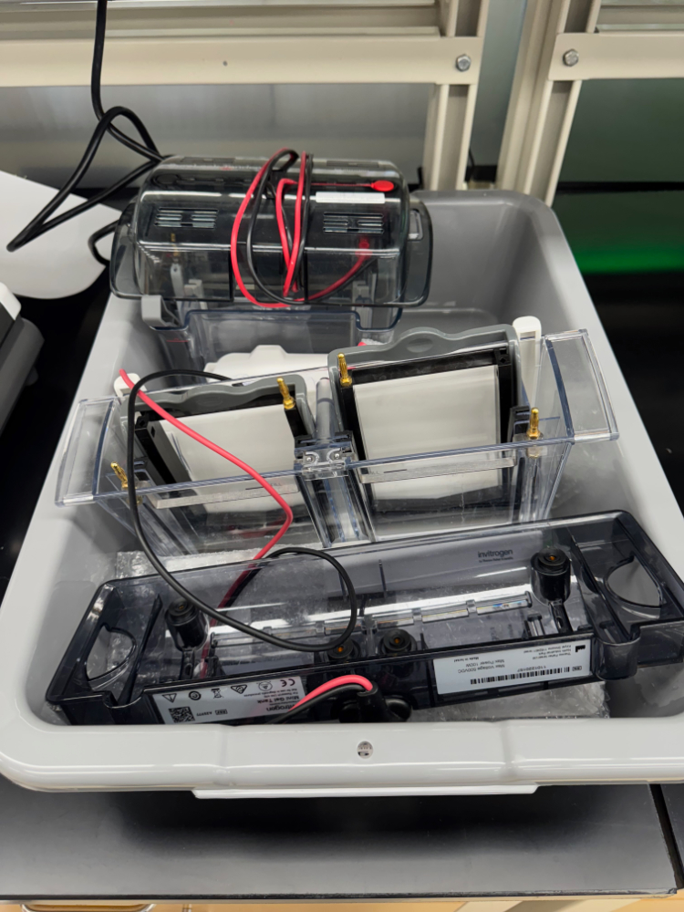 Image of Invitrogen Electrophoresis Gel Tanks - Quantity 2
